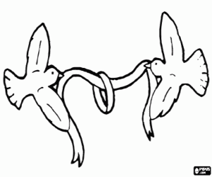 kolorowanka Obrączka i gołębie