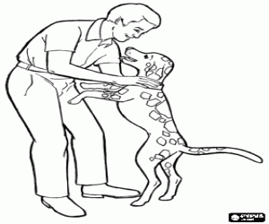 kolorowanka Ojciec z psem, dzień ojca