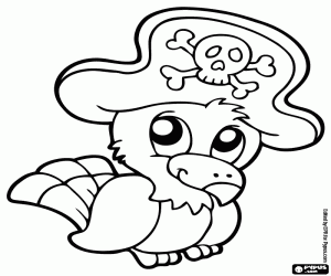 kolorowanka Papuga piratów