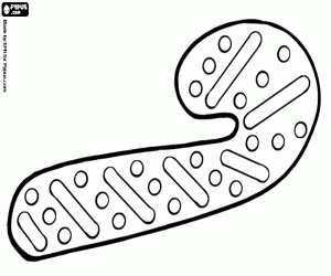 kolorowanka Piernikowe ludziki jako Cukrowa Laska