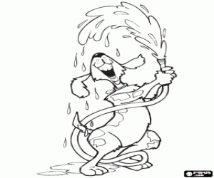 kolorowanka Pies gra z wody