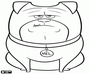 kolorowanka Pies do towarzystwa, Mel