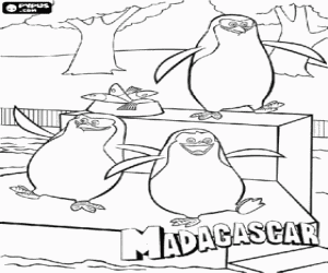 kolorowanka Pingwiny z Nowego Jorku