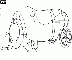 kolorowanka Pop jest starszych psów