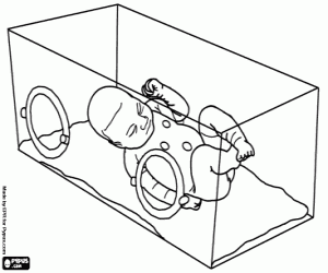 kolorowanka Przedwczesnego niemowląt w inkubatorze