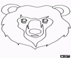 Niedźwiedź twarz