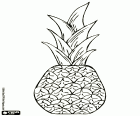 Ananas, owoce tropikalne