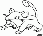 Rattata - Pokemon normalną czcionką, szybkie ataki szczurów