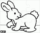 Puzzle z królika lub bunny
