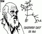 Dzień Darwina, Charles Darwin urodził się 12 lutego 1809 roku. drzewo Darwina, pierwszy plan jego teorii ewolucji