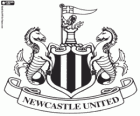 Emblemat Newcastle United FC, drużyny piłkarskiej Anglii