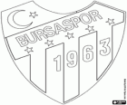Logo Bursaspor, turecki klub piłkarski