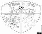 Logo The New Saints FC, klub piłkarski z Walii
