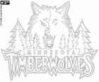 Minnesota Timberwolves logo, zespół NBA. Dywizja Północno-zachodnia, Konferencja zachodnia