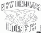 Logo New Orleans Hornets, zespół NBA. Dywizja Południowo-zachodnia, Konferencja zachodnia