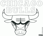 Logo Chicago Bulls, zespół NBA. Dywizja Centralna, Konferencja wschodnia