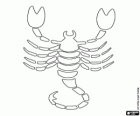 Skorpion. Ósmy znak zodiaku. Nazwa łacińska jest Scorpius