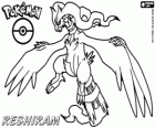 Reshiram, legendarny Pokémonów, Smok / Ogień. Pokémon Czarny maskotka