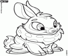 Cybunny, piękny Zajączek z Neopets
