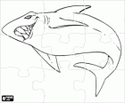 Rekin puzzle. Ryby łamigłówkę