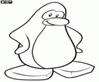 Pingwin z Club Penguin, wirtualny świat z gry i aktywności
