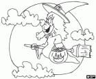 W noc Halloween, wiedźma na miotle magii