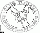 Logo klubu Tijuana Xoloitzcuintles de Caliente, Xolos de Tijuana. Zespół meksykański