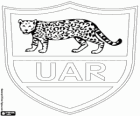 Logo drużyny narodowej rugby Argentyna, los pumas. Godło, jaguar