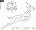 Logo drużyny narodowej rugby RPA, springboks. Godło, springbok i protea