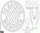 FC Bayern Monachium, mistrz 2012–13 Ligi Mistrzów UEFA