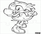 Amy Rose, dziewczyna puzzle Sonic