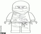 Wojownik ninja, Lego Ninjago