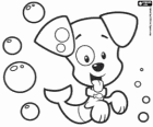 Bubble Puppy, ryby szczeniak