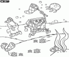 SpongeBob, Patryk Star i polowanie meduzy