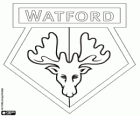 Odznaka Watford FC. Hornets
