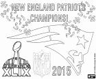 New England Patriots, mistrzów Super Bowl w 2015 roku. Ostateczny wynik meczu z Seattle Seahawks został 28-24. Quarterback Tom Brady został wybrany MVP finału