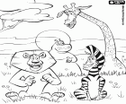 Czterech bohaterów zwierzęta Madagaskaru 2. Lew Alex, Marty Zebra, żyrafa Melman, Gloria hipopotam w Afrykańskiej sawanny