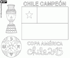 Reprezentacja Chile został ogłoszony mistrzem Copa America w 2015 roku. Meczu i dodatkowy czas zakończył się 0-0 na tablicy wyników. Chile pokonała reprezentacji Argentyny w rzutach karnych
