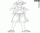 Kapitan Monkey D. Luffy z jego słynnej kapelusz słomy na głowie w One Piece New World