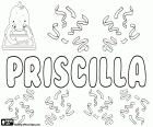 Priscilla, wariant Priscila, Priscille i Pryscylla. Priscilla, imię dla dziewczynki pochodzenia łacińskiego. Priscilla, nazwa, charakter Nowego Testamentu