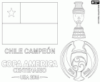Chile, dwa razy mistrz Copa America 2015 i 2016. Reprezentacja Chile w piłce nożnej jest mistrz Copa America Centenario 2016, Argentyna ma pokonał w rzutach karnych, wynik meczu był 0-0. Chilijczycy Alexis Sanchez został najlepszego zawodnika turnieju, Claudio Bravo został najlepszym bramkarzem i Eduardo Vargas został królem strzelców