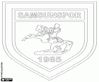 Logo Samsunspor Kulübü Derneği, klub piłkarski z miasta Samsun, miasto z dużym portem na Morzu Czarnym, stolica prowincji Samsun, na północnym wybrzeżu Turcji