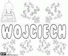 Wojciech, Polska nazwa dla chłopca z wariantów, jak Wojtek, Wojtuś, Wojcio, m.in.