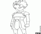 Cabba, Saiyan's od świata 6, nową postać z Dragon Ball Super