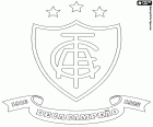 Emblemat Ameryka Futebol Clube, znany jako America Mineiro, klub piłkarski z siedzibą w Belo Horizonte, stolicy stanu Minas Gerais, w południowo-wschodniej Brazylii
