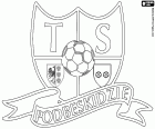 Logo TS Podbeskidzie, Towarzystwo Sportowe Podbeskidzie Bielsko-Biała, klub piłkarski z siedzibą w Bielsku-Białej, miasta nad brzegiem rzeki Białej u podnóża Karpat w województwa śląskiego, położone w południowej części Polski, blisko granicy z Republika Czeska i Słowacja