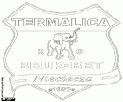 Emblemat Bruk-Bet Termalica Nieciecza Klub Sportowy, klub piłkarski z siedzibą w Nieciecza, wieś w południowo-wschodniej Polsce w województwie małopolskie, znajduje się około 60 km na wschód od Krakowa