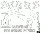 New England Patriots zdobyli ich piąty Super Bowl. Również jest piąty tytuł główny trener Bill Belichick i rozgrywający Tom Brady, kto dostał trofeum MVP po raz czwarty. Zwycięstwo patriotów ma epic z niesamowitą powrotu do końca wygranej do Atlanta Falcons w dogrywce, wynik końcowy został 34-28