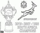 RPA jest nowym mistrzem świata w rugby 2019. Springboks zdobyli swój trzeci tytuł na świecie po 1995 i 2007 tytułów