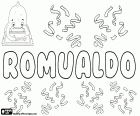 Romualdo, nazwa pochodzenia germańskiego, w kilku językach, takich jak hiszpański, portugalski i włoski, pochodzi od średniowiecznej łacińskiej formy Romualdus
